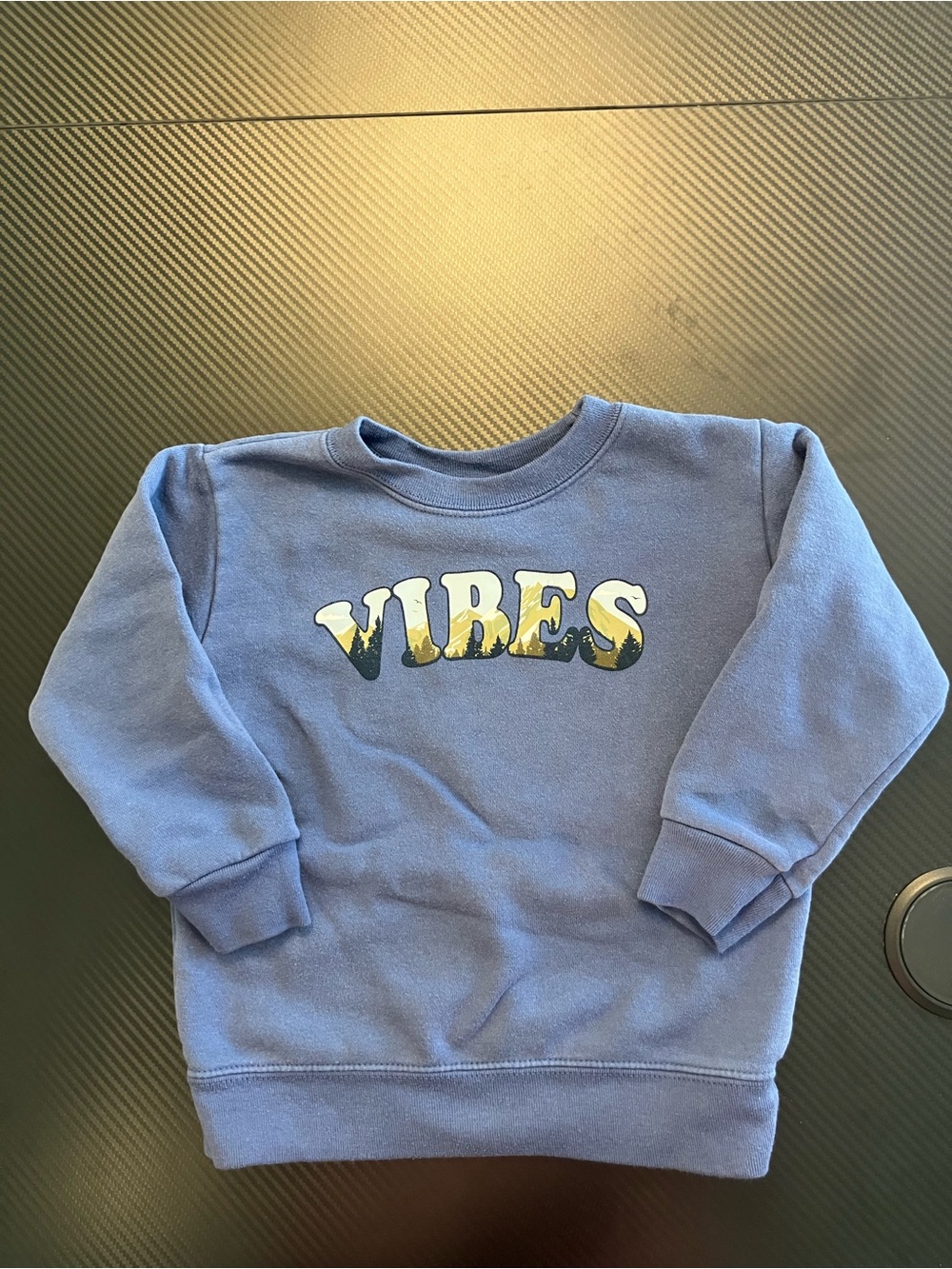 Garanimals Blue 'Vibes' Graphic Sweatshirt